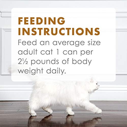 Purina Fancy Feast Gravy Lovers Poultry and Beef Gourmet Wet Cat Food Variety Pack - (Pack of 24) 3 oz. Cans - Image 2