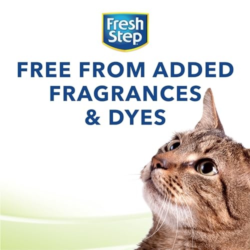 Fresh Step Lightweight Clumping Cat Litter, Unscented, 15.4 lbs (Package May Vary) - Image 11