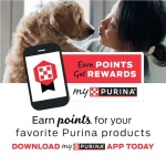 Purina Moist and Meaty Burger With Cheddar Cheese Flavor Dry Soft Dog Food Pouches - 36 ct. Pouch - Image 11