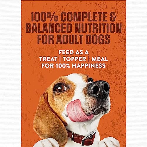 Purina Moist and Meaty Burger With Cheddar Cheese Flavor Dry Soft Dog Food Pouches - 36 ct. Pouch - Image 10