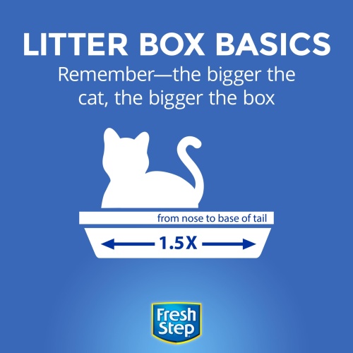 Fresh Step Outstretch, Clumping Cat Litter, Advanced, Extra Large, 32 Pounds total (2 Pack of 16lb Boxes) - Image 4