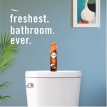 Febreze Air Mist Air Freshener Spray, Odor-Fighting Room Spray, Air Fresheners for Home and Bathroom and Kitchen, Aerosol Can, Pumpkin Roll Scent, 8.8oz, 2 Count - Image 3