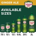 Canada Dry Ginger Ale Soda, 12 fl oz cans, 12 pack - Image 12