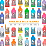 Gatorade Thirst Quencher Sports Drink, Variety Pack, 20oz Bottles, 12 Pack, Electrolytes for Rehydration - Image 2
